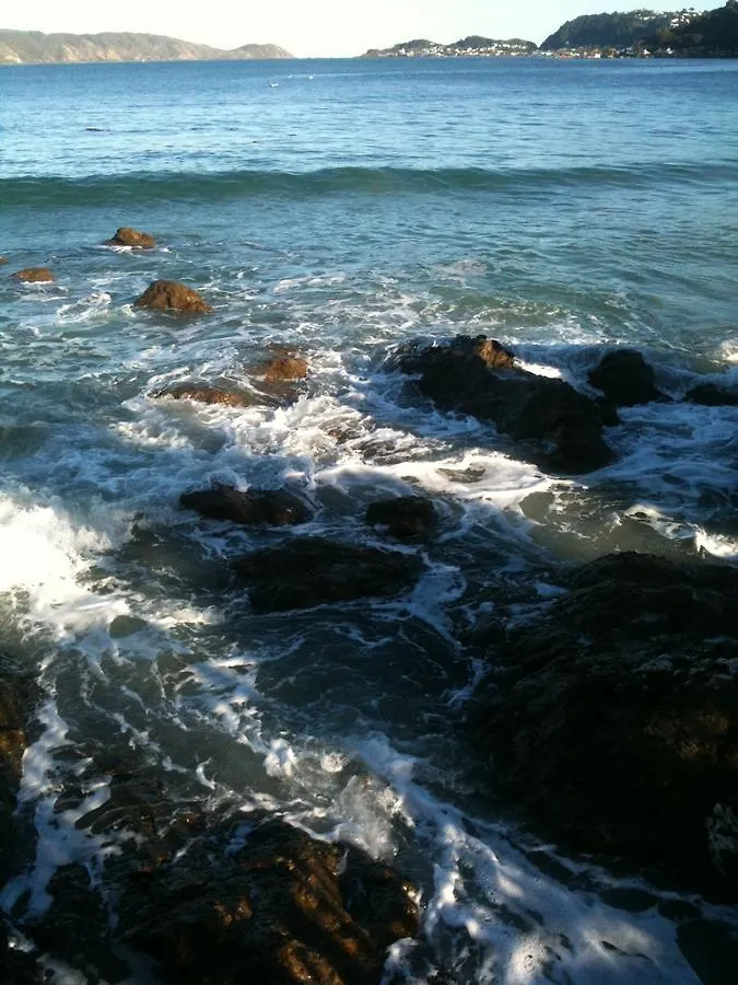 Karaka Bays location